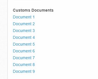 4_Documents_Customs.JPG